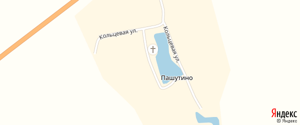 Расписание рейсов по маршруту Нижний Новгород - Пашутино
